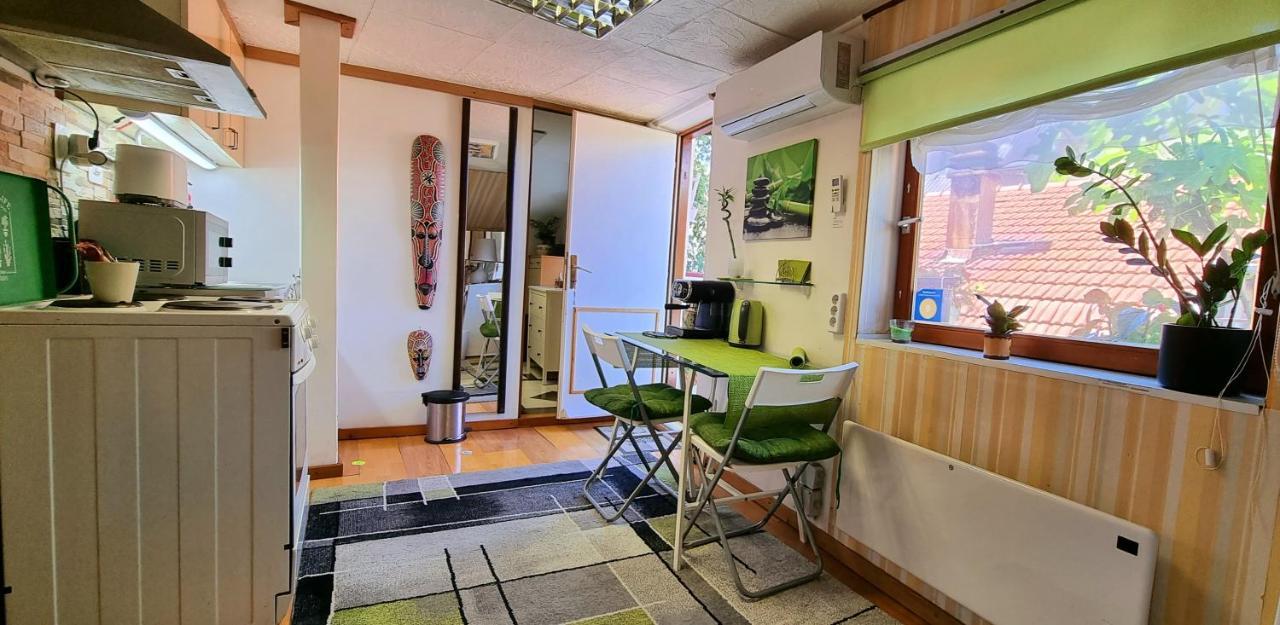 Apartment " Studio Green " Free Parking, Self Check-In Ζάγκρεμπ Εξωτερικό φωτογραφία